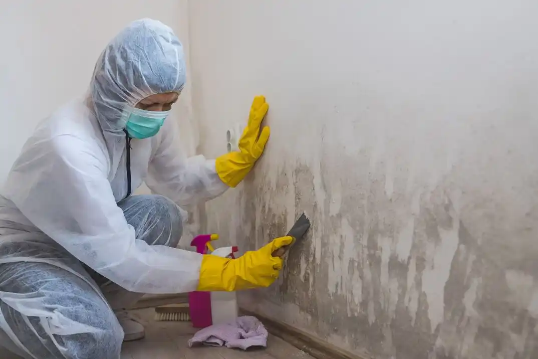 water damage restoration service Freeman Heights